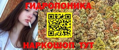 молекула духа Кулебаки
