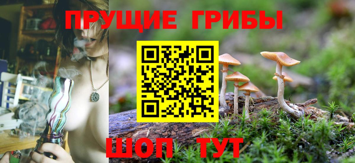 Галлюциногенные грибы прущие грибы  Псилоцибиновые грибы мицелий  наркотики  Вход с VPN  Янаул 